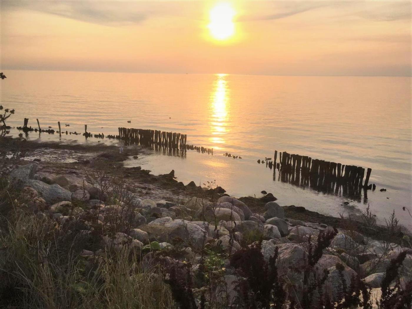 Dahmer Strand 18 Muschelhus Exterior foto